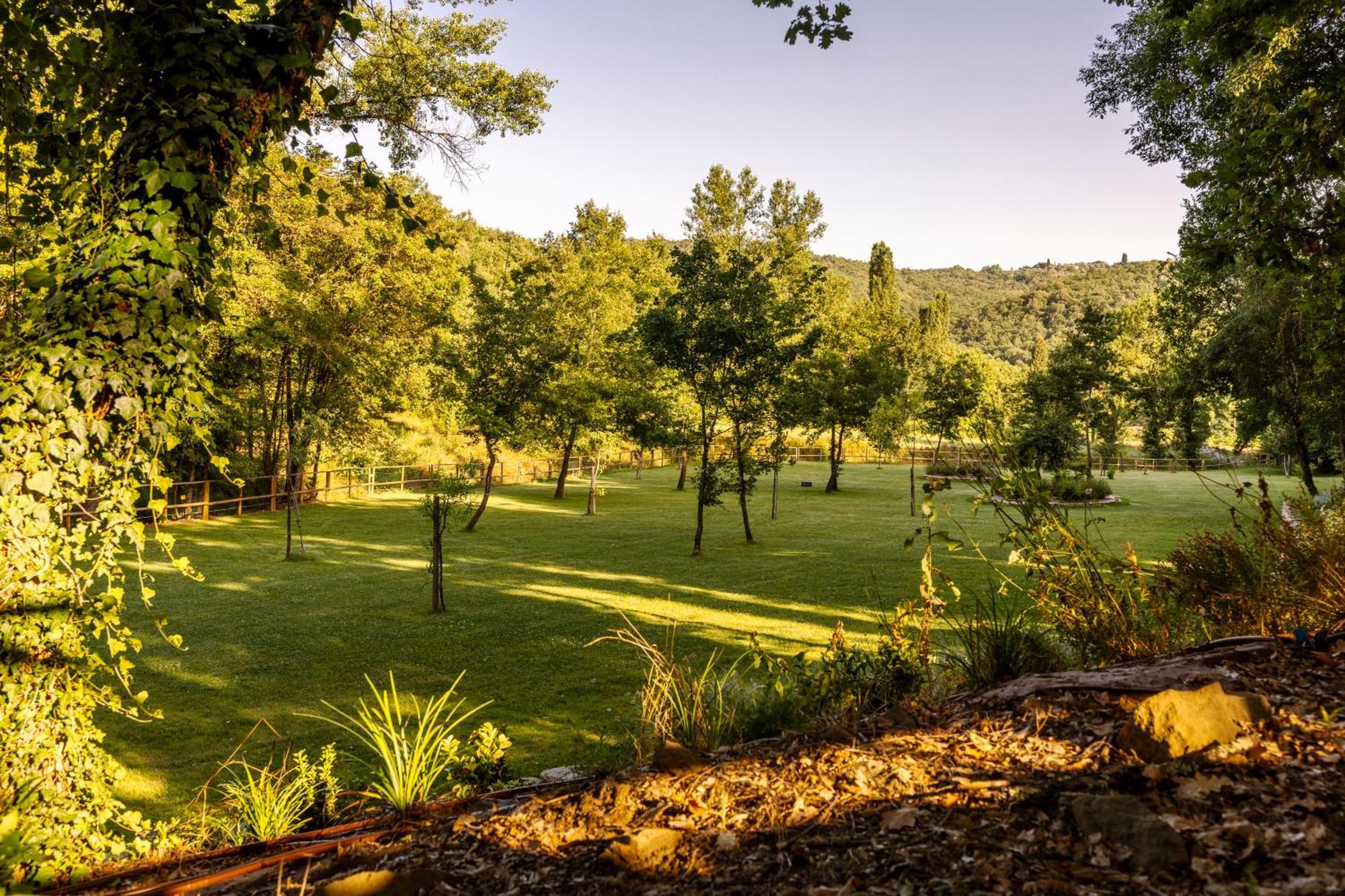 Podere La Casina Country Chic Rigomagno Zewnętrze zdjęcie